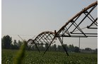 Property photo 11 - 21 Multiple Span Irrigation Pivots, Offered Individually or Combination - Irrigation Equipment Auction